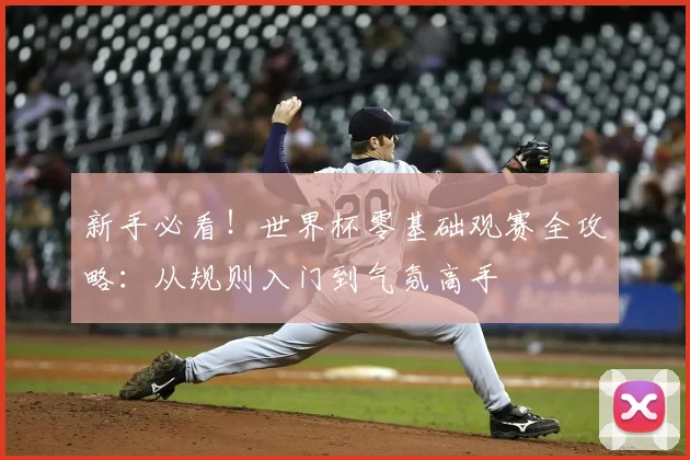 新手必看！世界杯零基础观赛全攻略：从规则入门到气氛高手