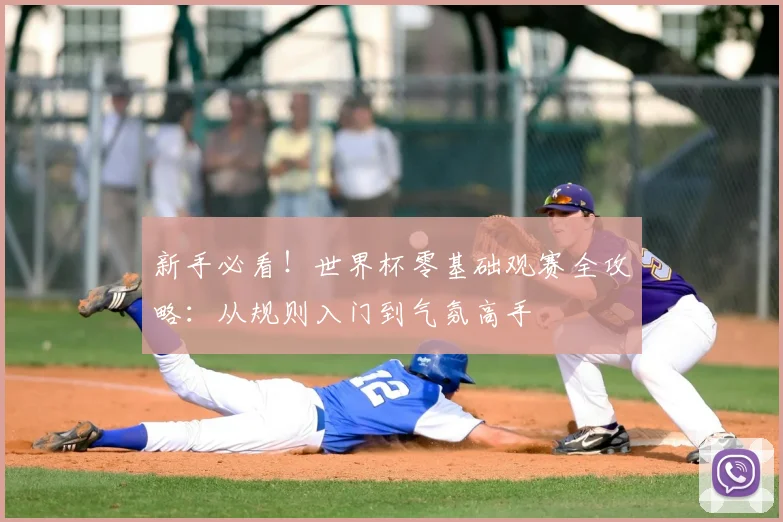 新手必看！世界杯零基础观赛全攻略：从规则入门到气氛高手